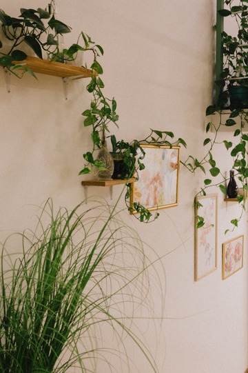 Créer une Jungle urbaine : Comment décorer votre intérieur avec des plantes